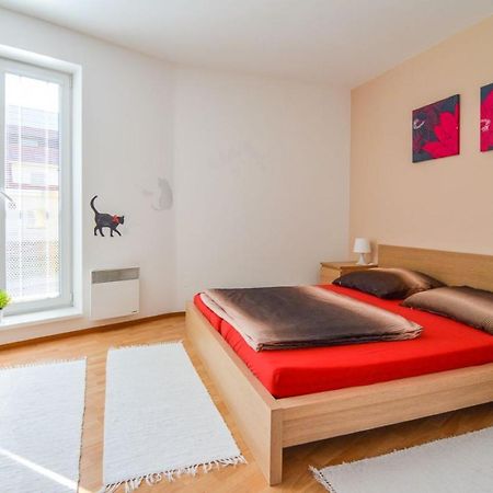 Apartman U Kostela Destne v Orlickych horach Bagian luar foto