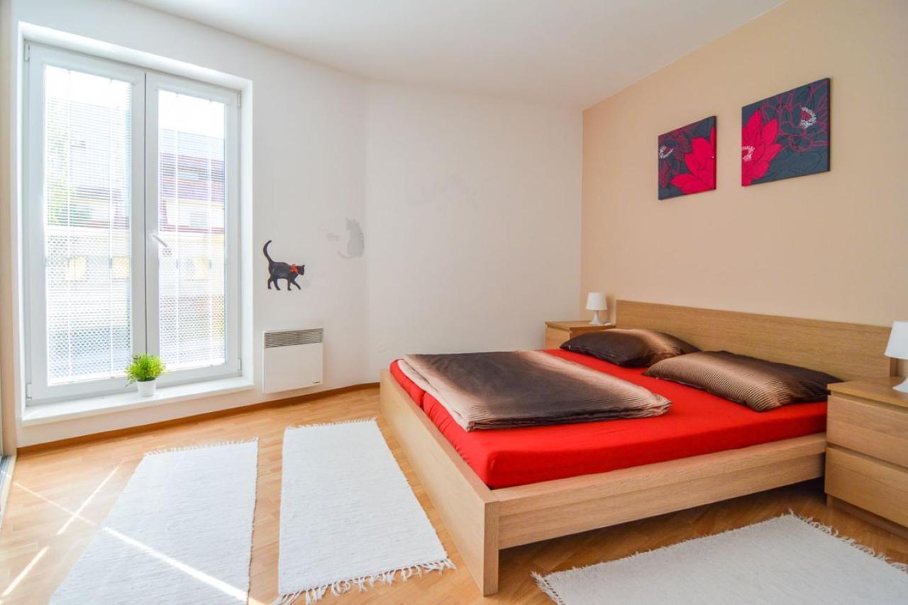 Apartman U Kostela Destne v Orlickych horach Bagian luar foto